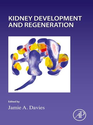cover image of Kidney Development and Regeneration